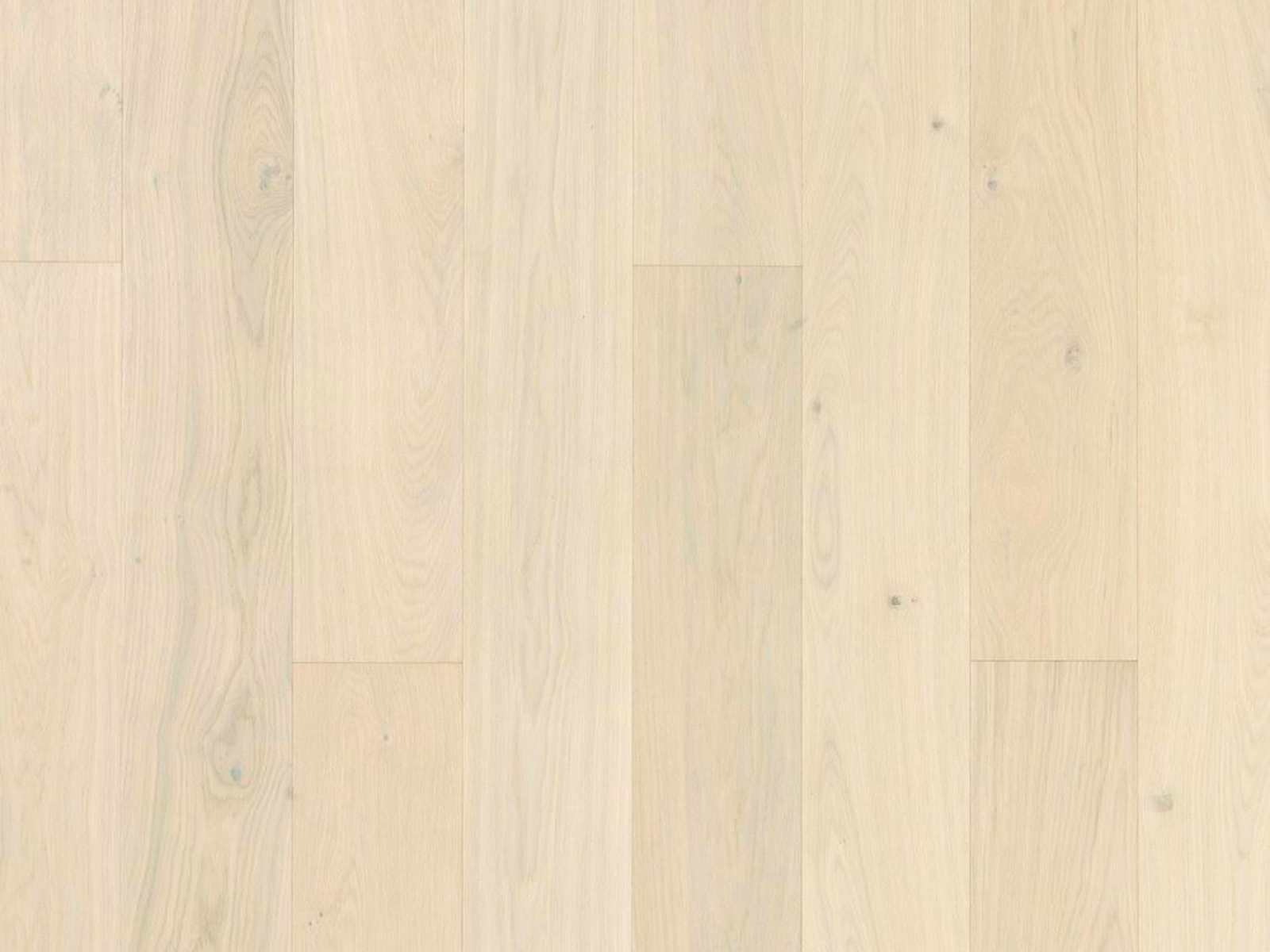 TIMBERWISE TAMM CREAM