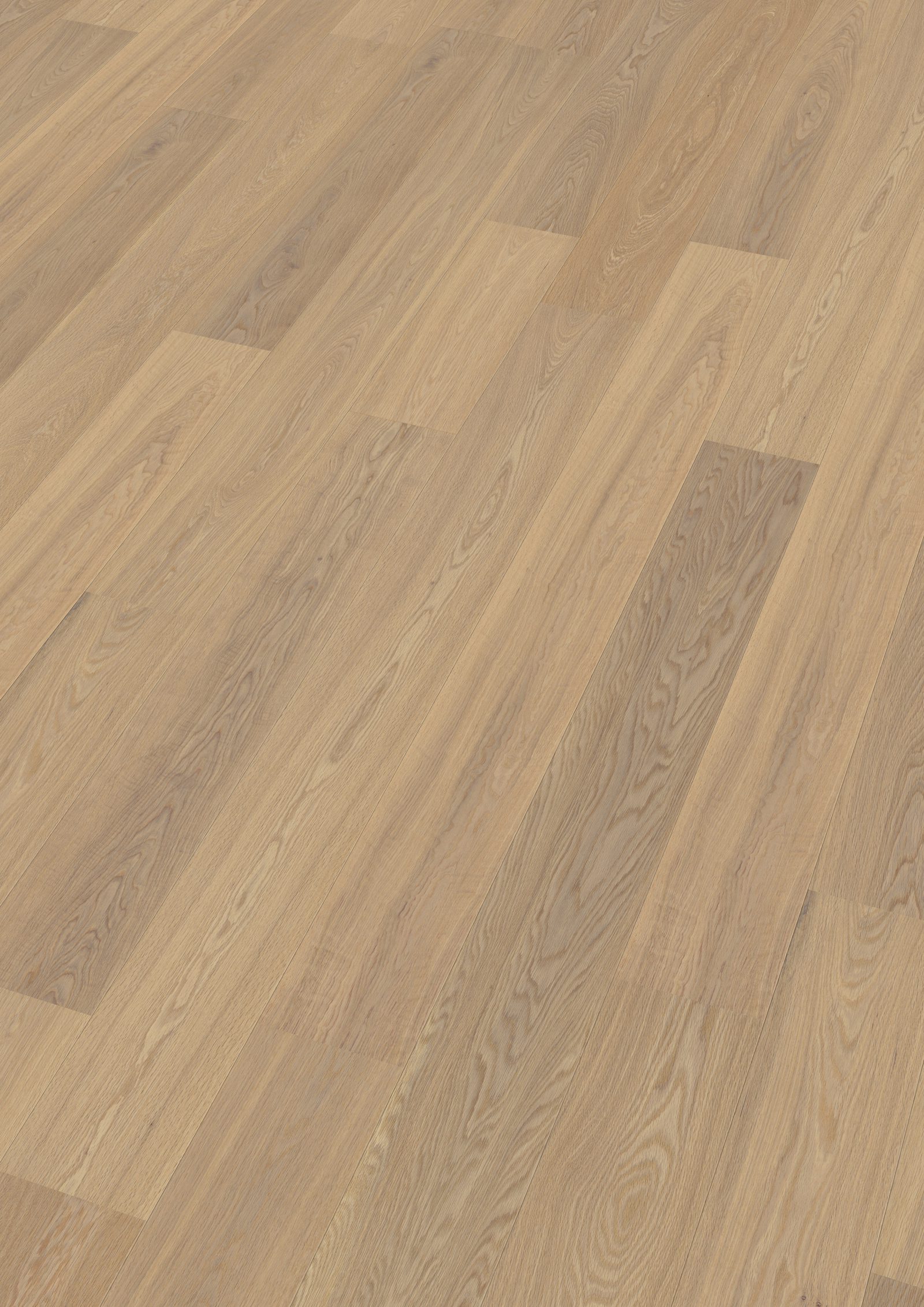 WICANDERS TAMM NATUR NOTTINGHAM