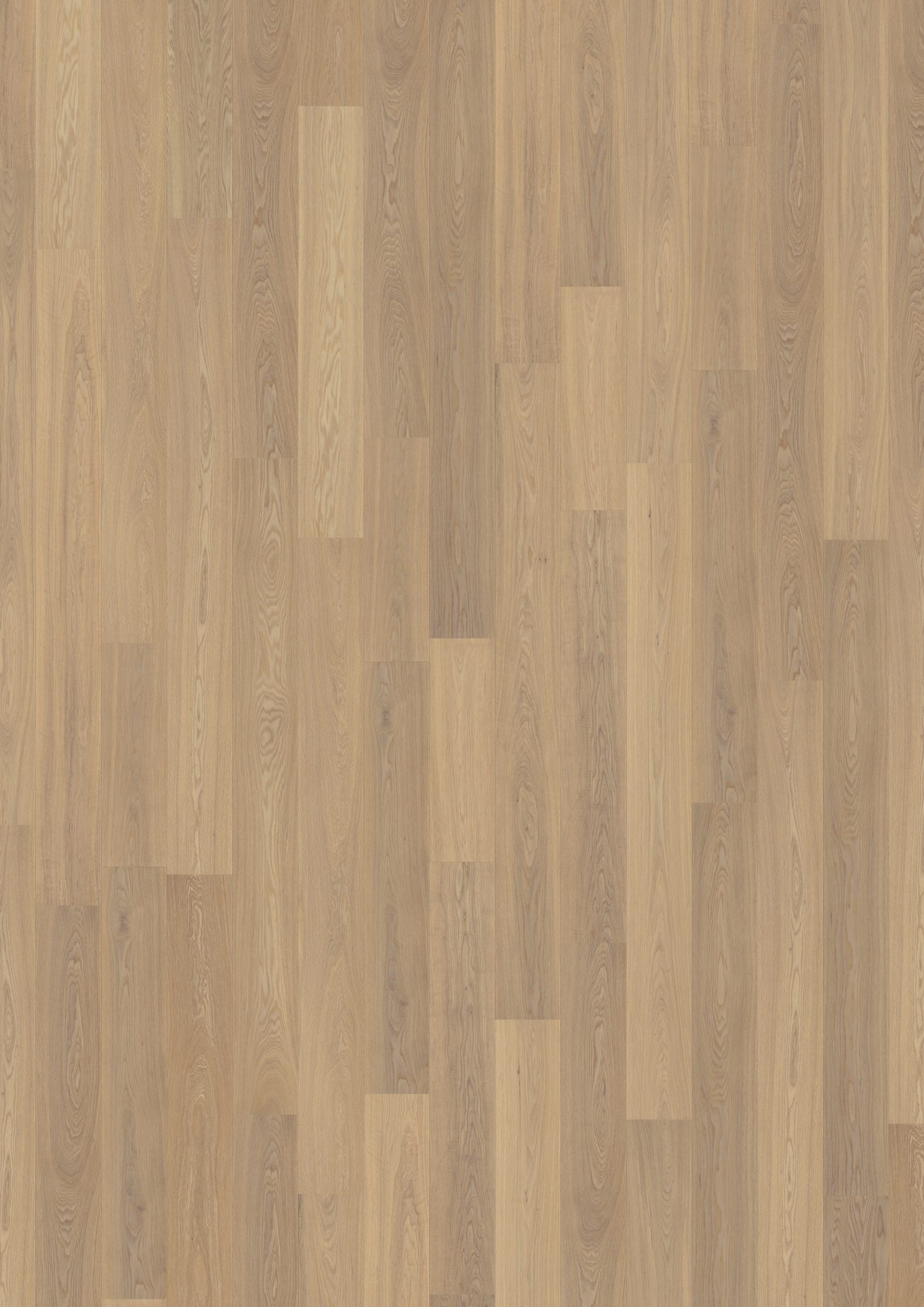 WICANDERS TAMM NATUR NOTTINGHAM