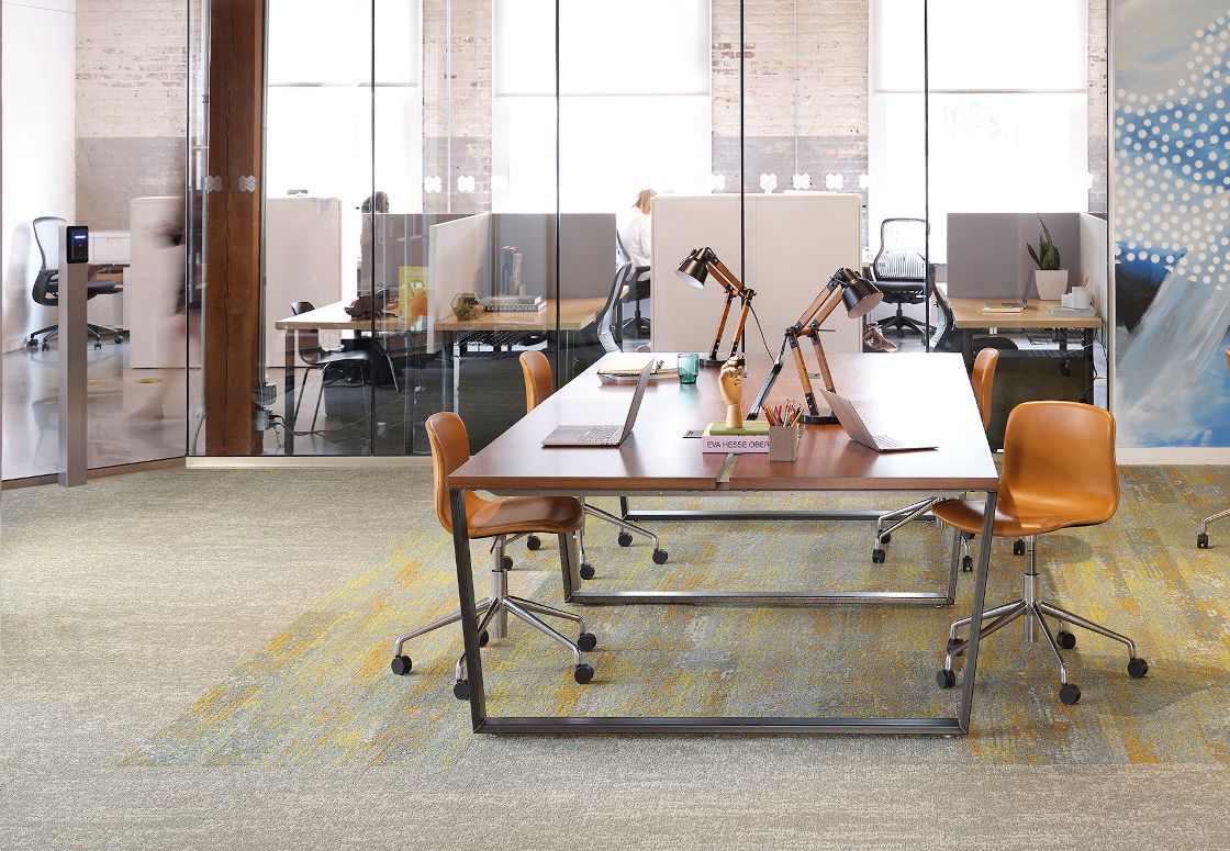 SHAW LIVING SYSTEMS TRANSFORM
