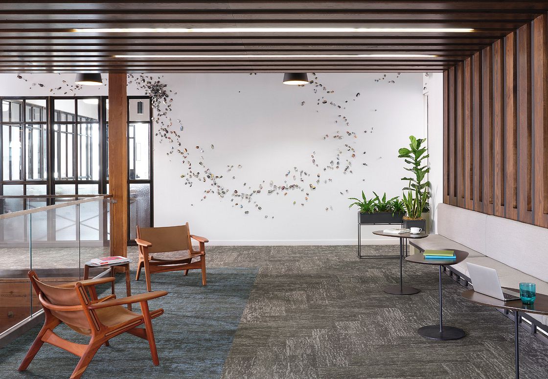 SHAW LIVING SYSTEMS TRANSFORM