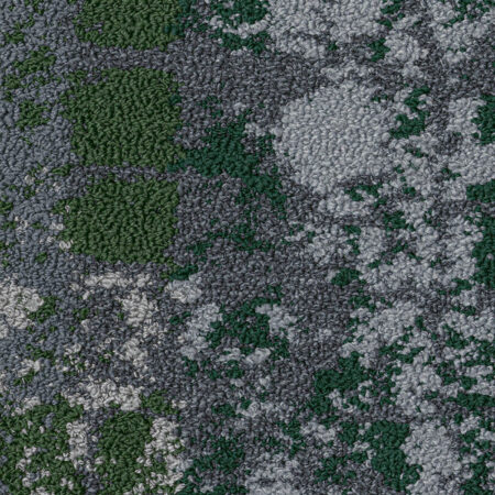 SHAW LIVING SYSTEM TRANSFORM COLOR - Image 5