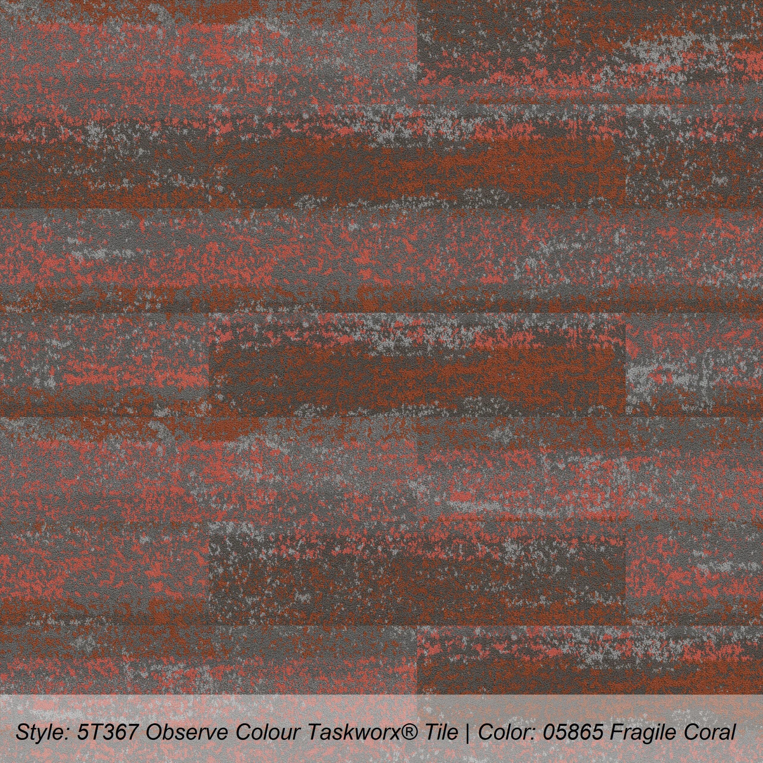 SHAW LIVING SYSTEM OBSERVE COLOR - Image 8