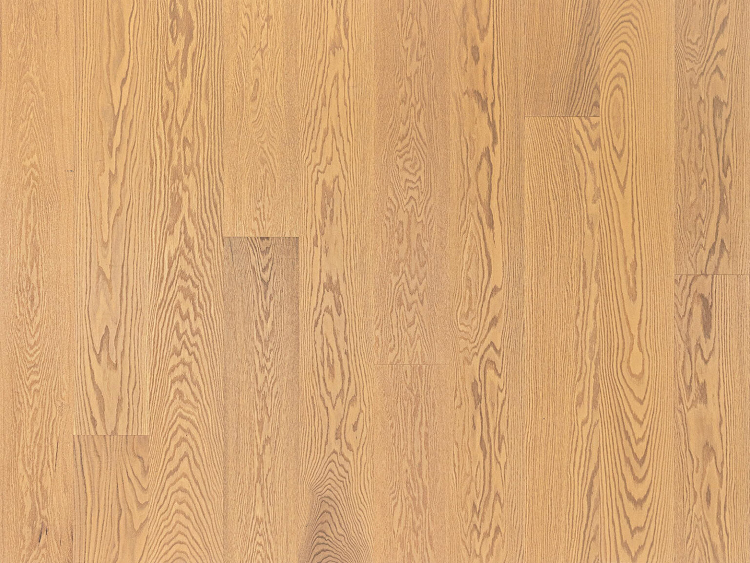 TIMBERWISE PUNATAMM ZION