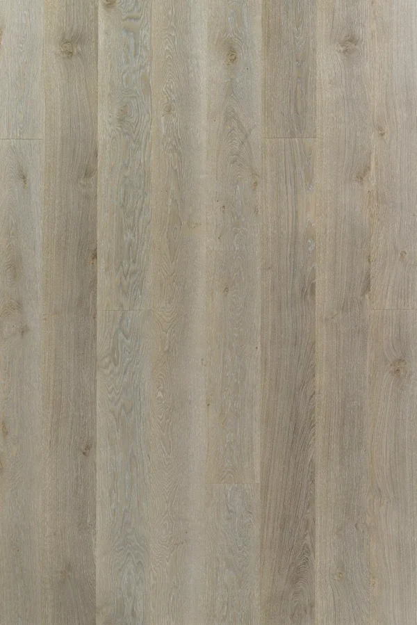 Timberwise Tamm Bole