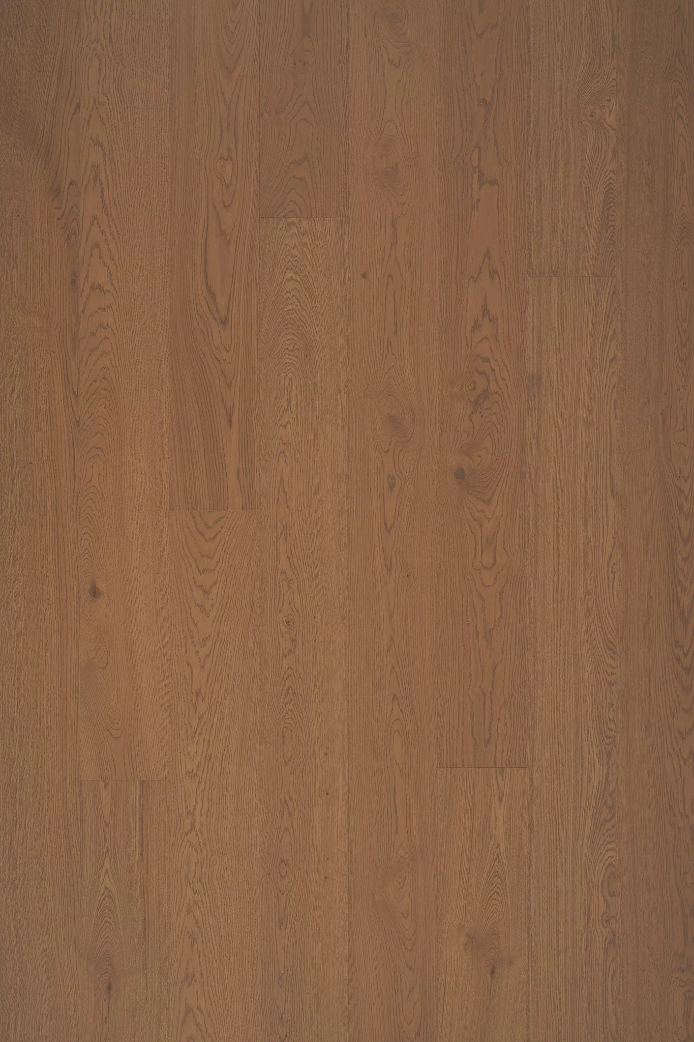 TIMBERWISE TAMM CARAMEL