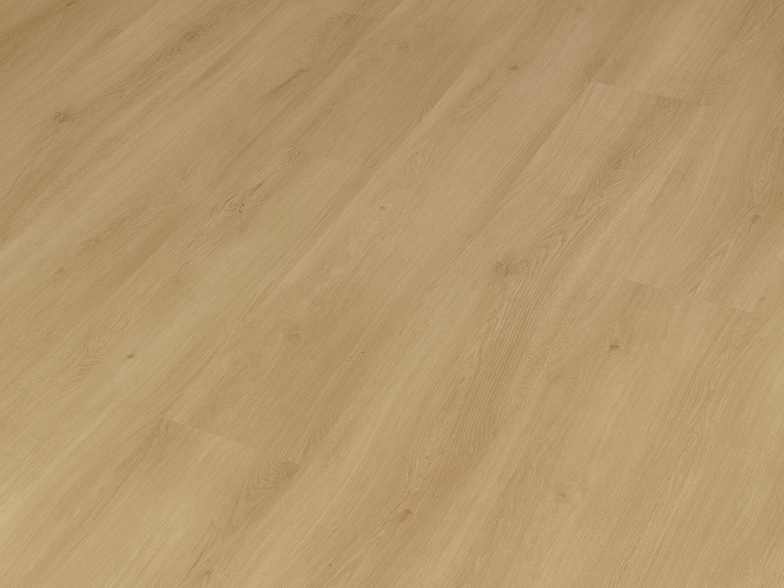 HARDER SCANDIC TAMM CLEAR FROST SCA131