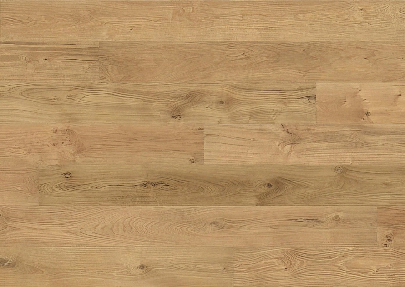 STÖCKL B:HARD TAMM CHARACTER FORTE 20367