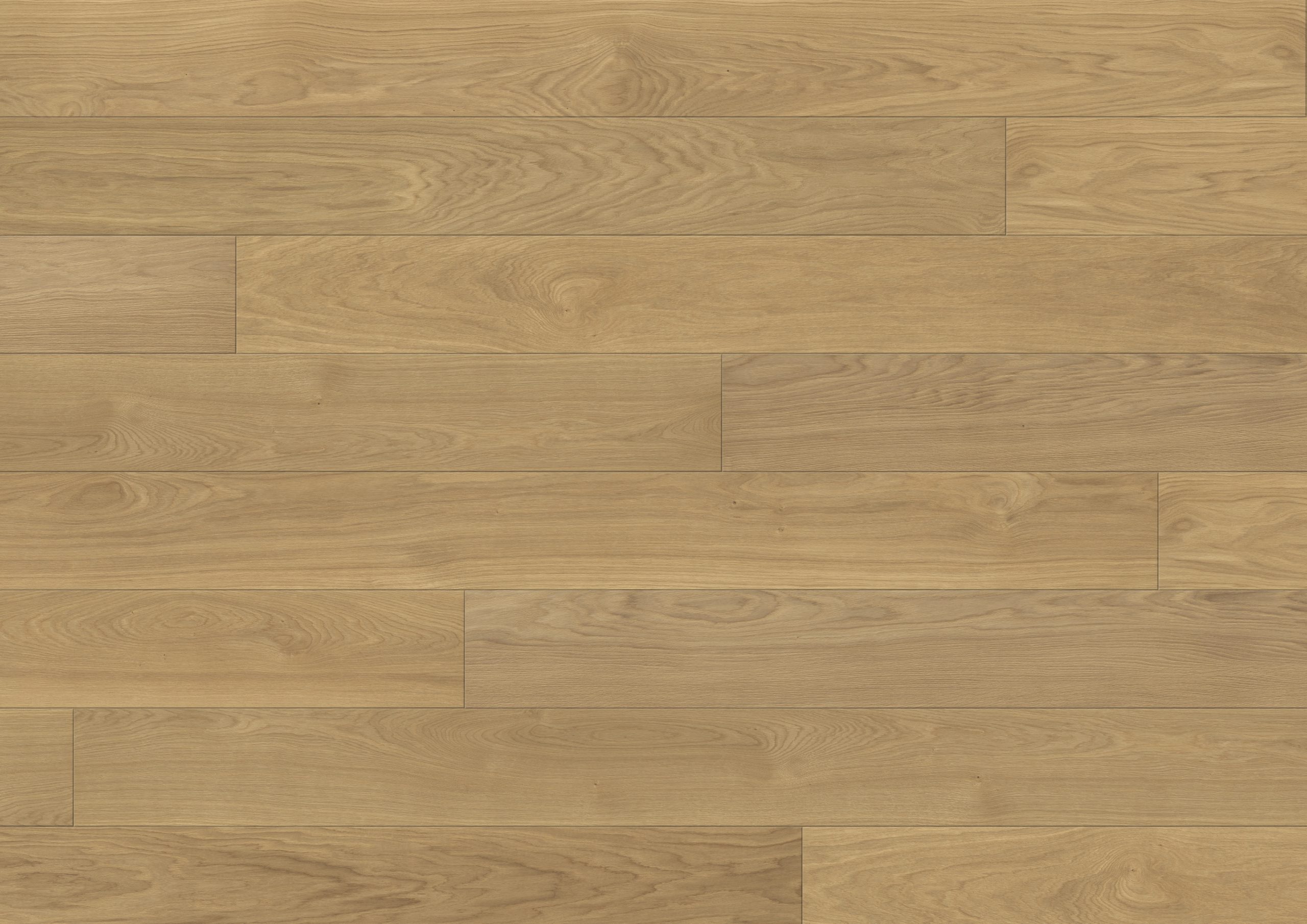 STÖCKL B:HARD TAMM STYLE 20333