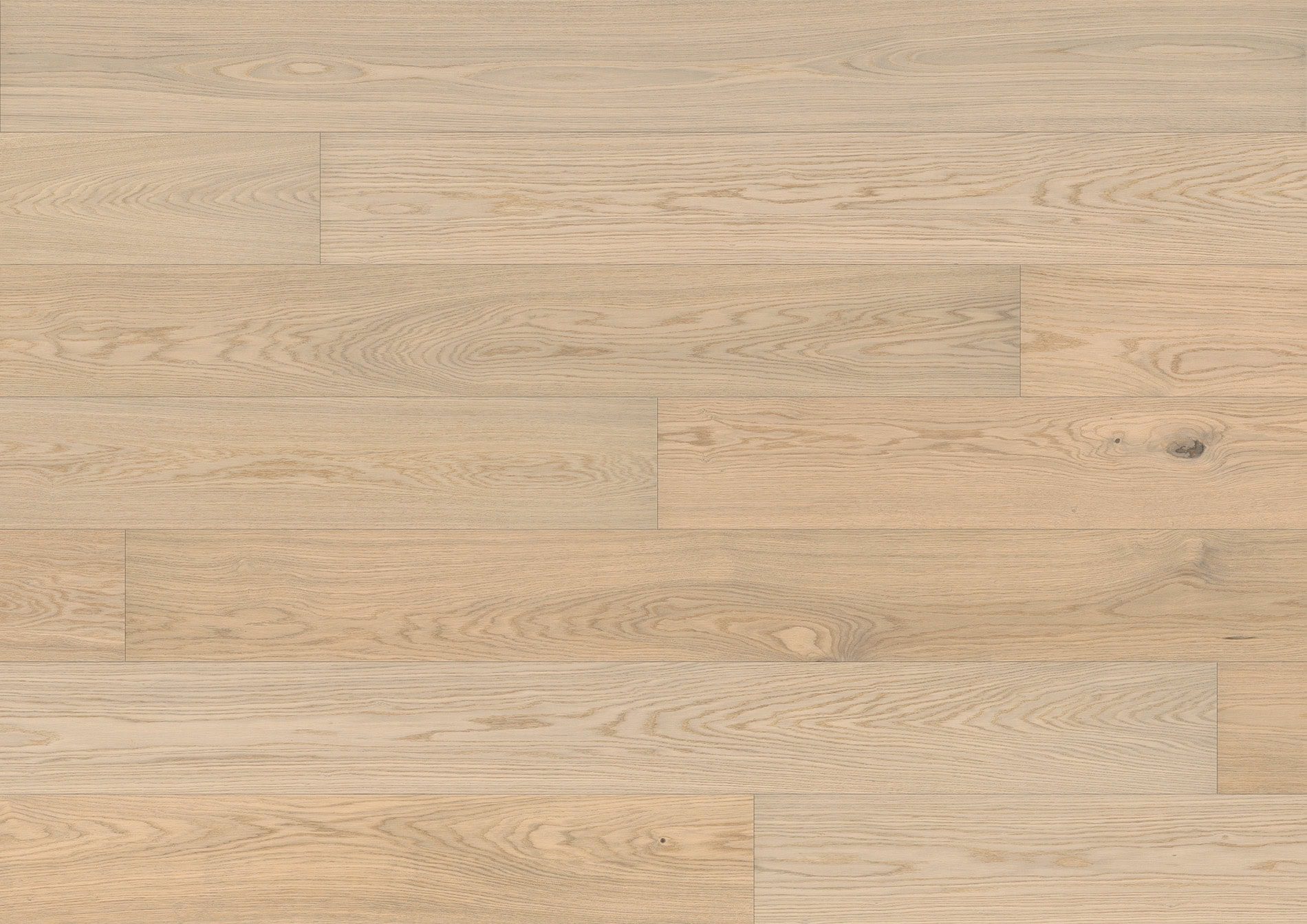 STÖCKL B:HARD TAMM NATURA SAPHIR FORTE 20371