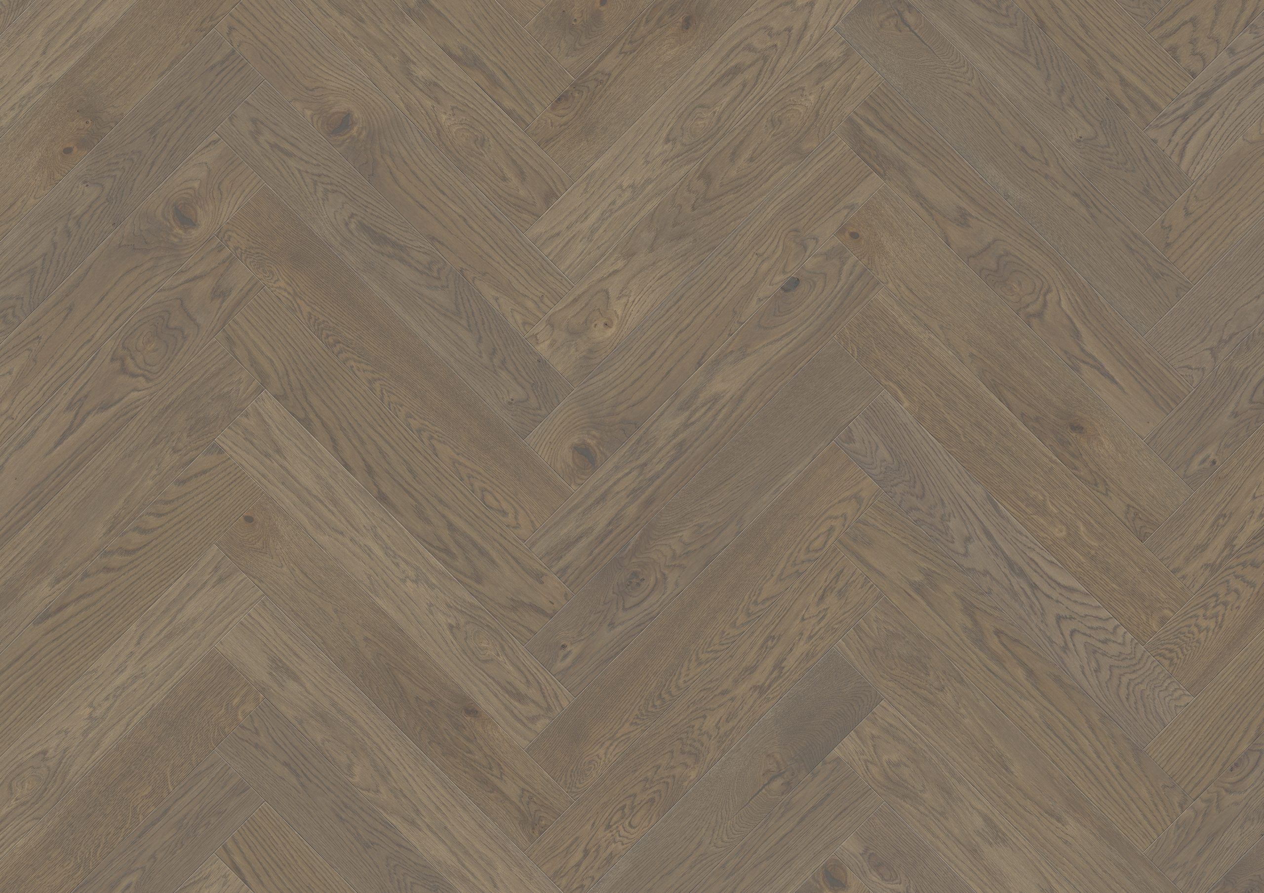 STÖCKL B:HARD TAMM STYLE HAVANNA 19380