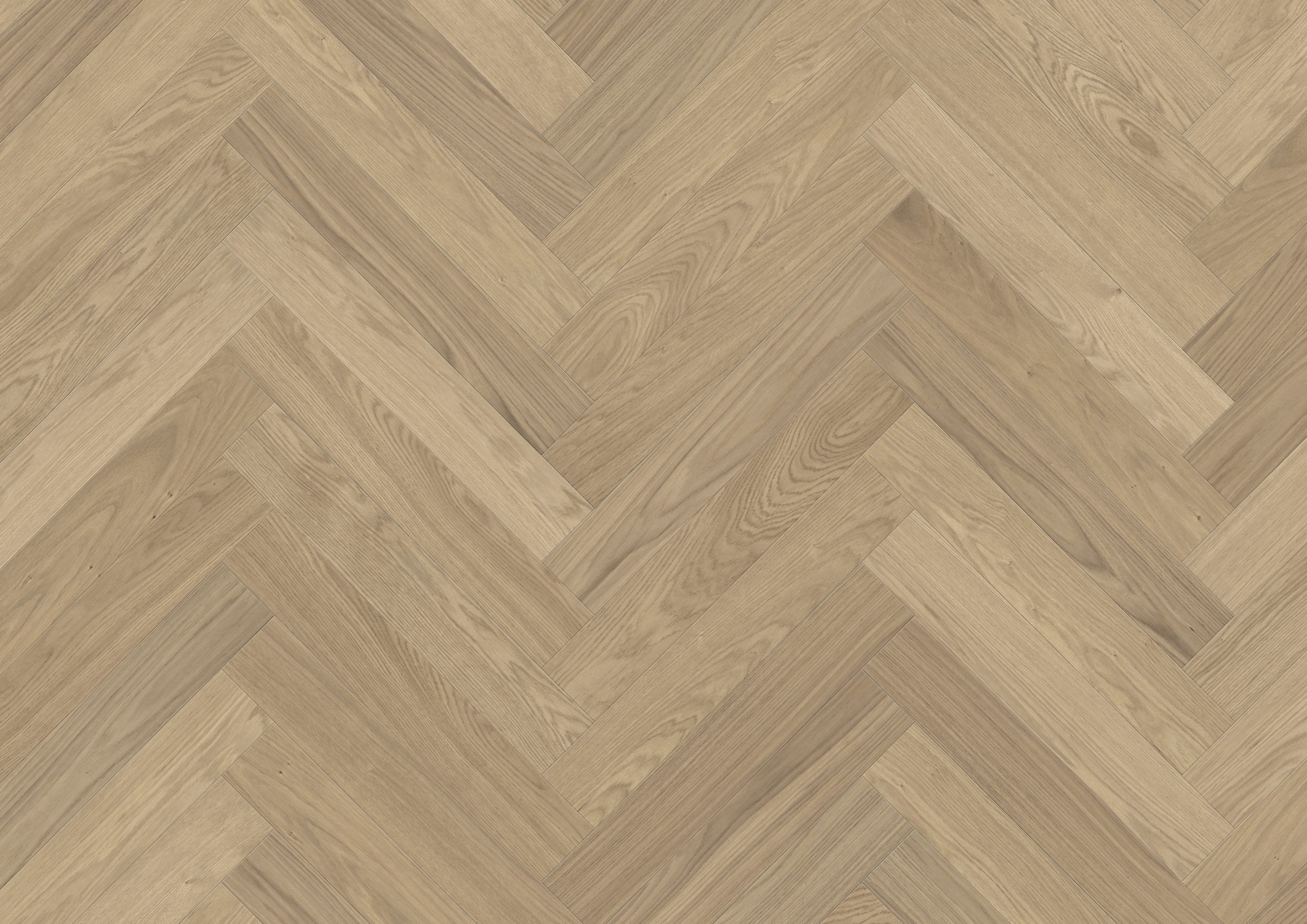 STÖCKL B:HARD TAMM STYLE CALCIT FORTE 20524