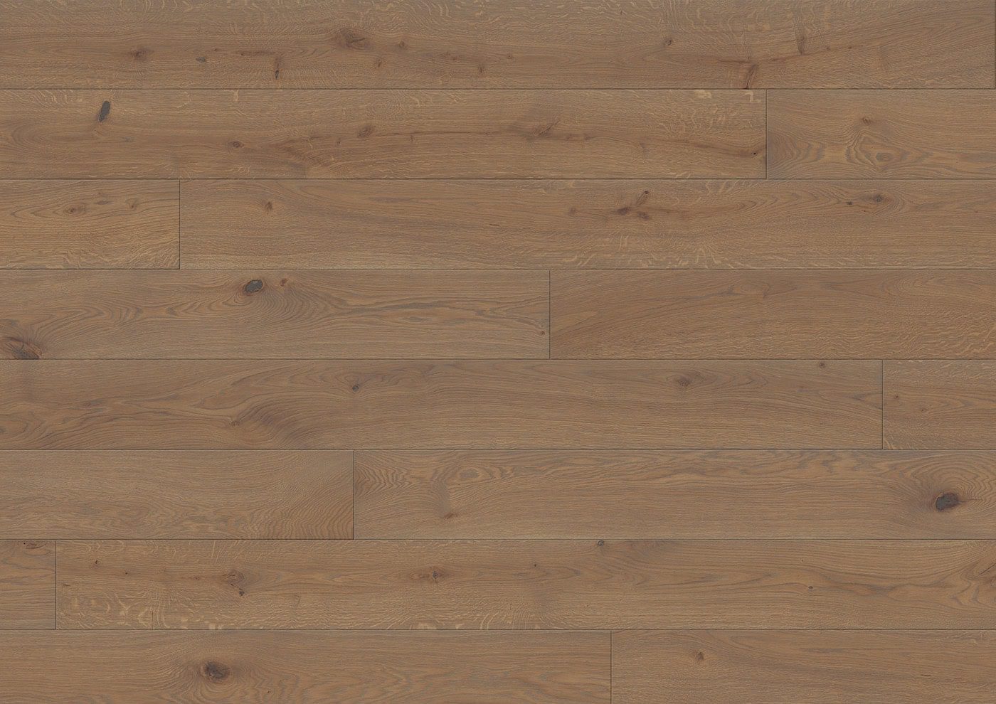 STÖCKL B:HARD TAMM NATURA BERNSTEIN 20413