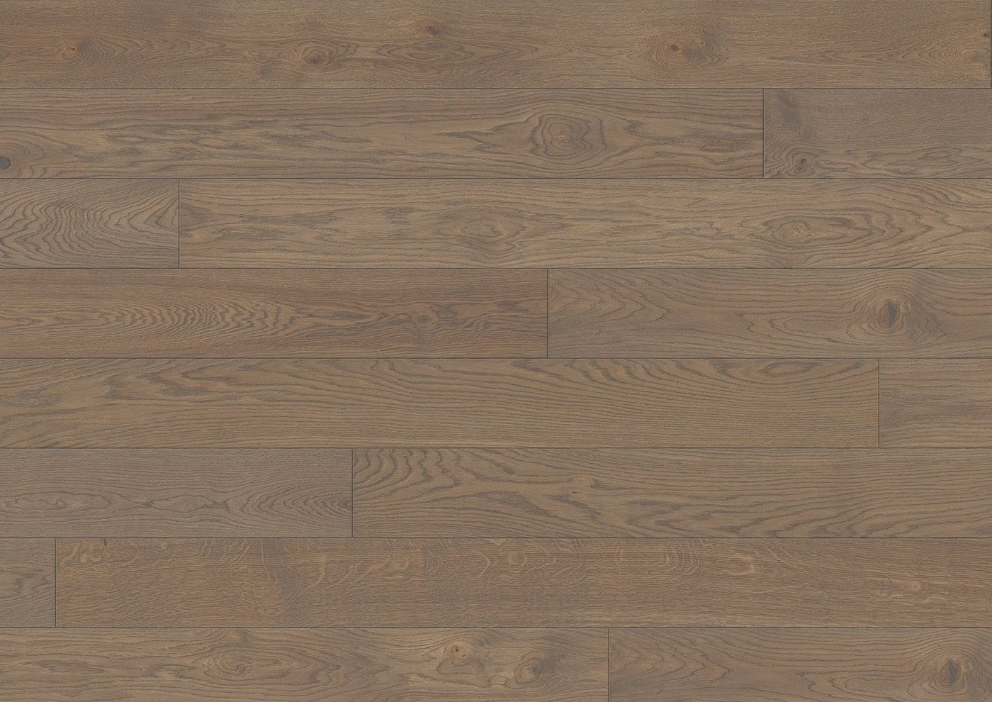 STÖCKL B:HARD TAMM NATURA HAVANNA FORTE 20395