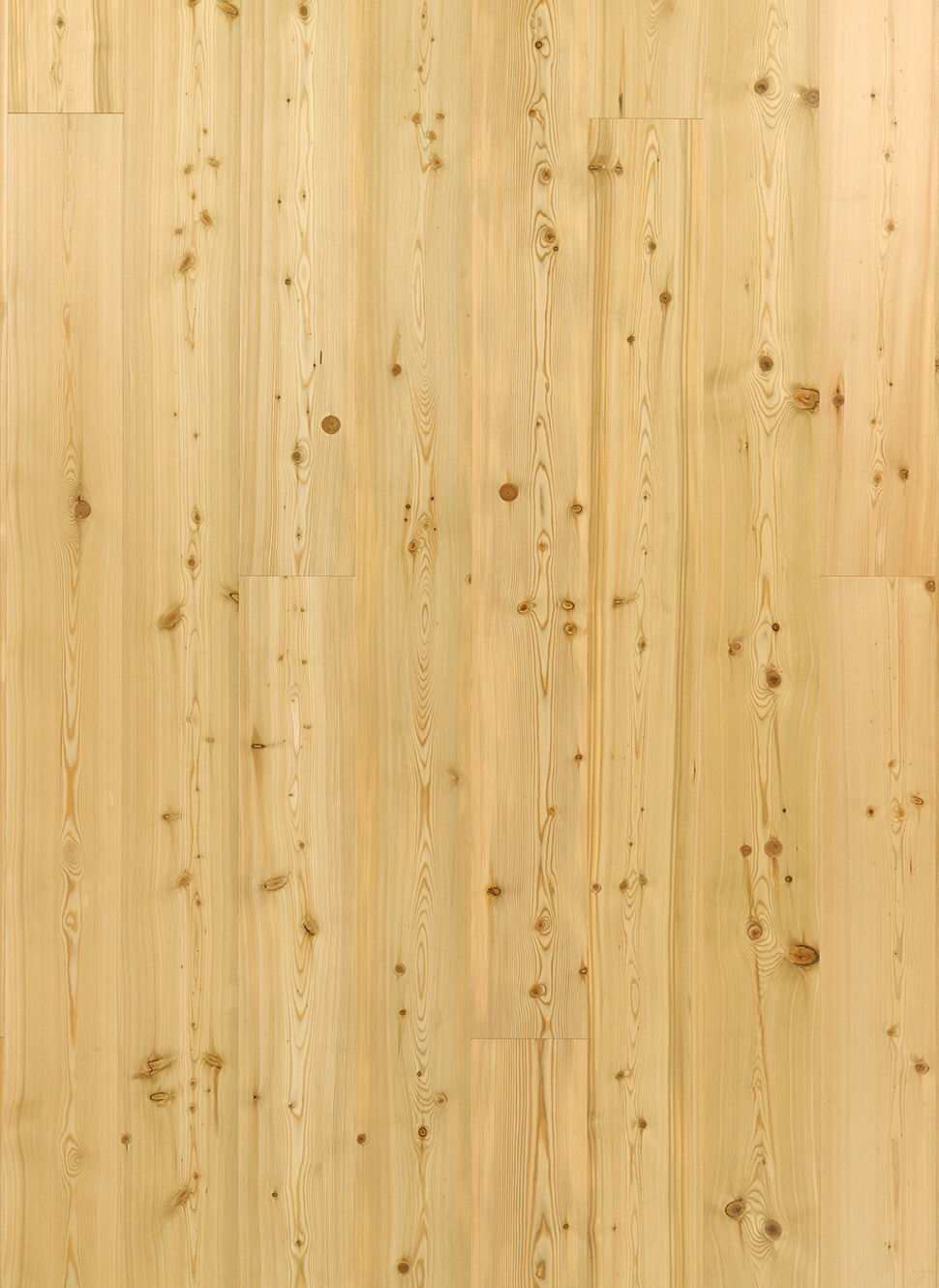 TIMBERWISE LEHIS