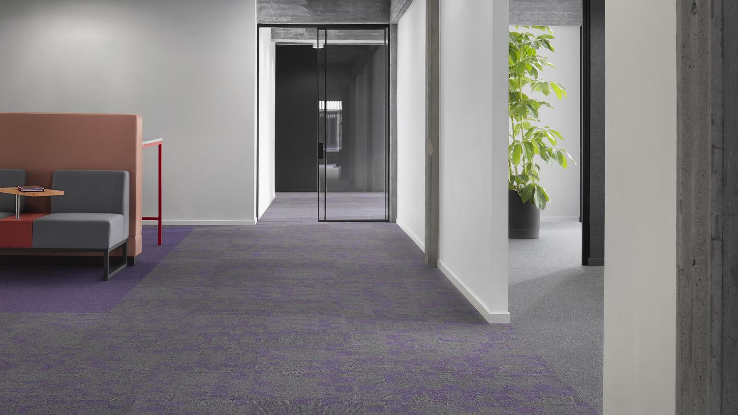 Desso contract Kortrijk