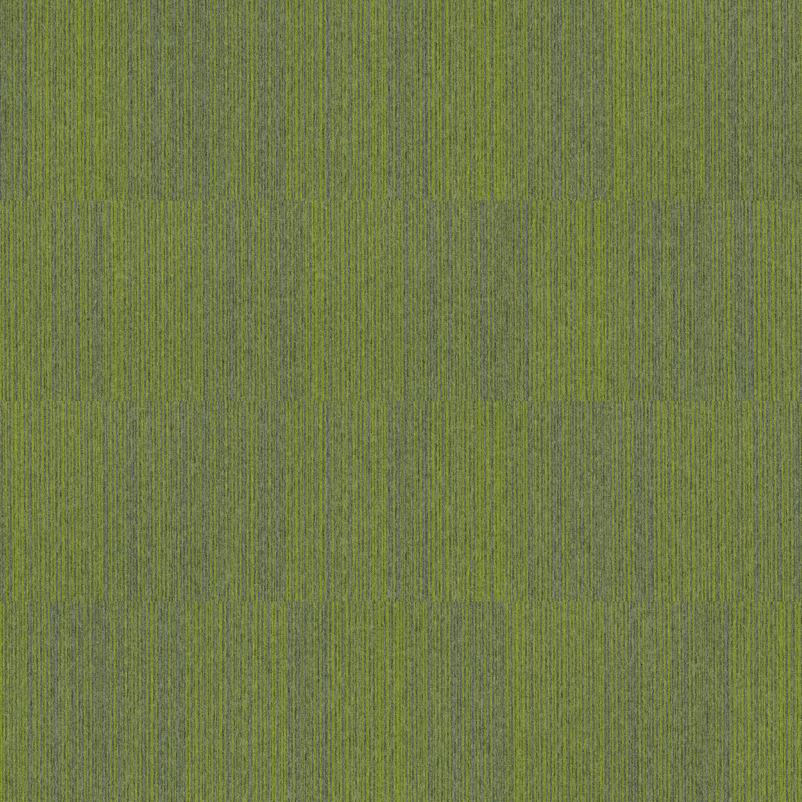 TARKETT DESSO ESSENCE STRIPE